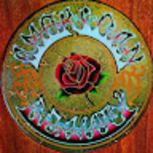 Meet your Posher, Nina